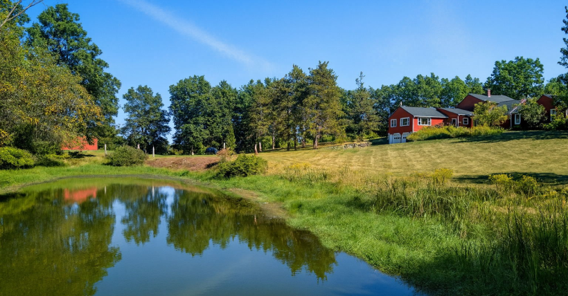 Introducing Martins Pond Farm: A Rare New England Sanctuary in Groton MA